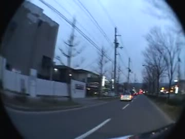 京都暴走ＤＱＮ