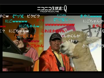 [コメあり]「生っすかサンデー！？」出張版@ニコニコ超会議２　その１０