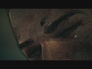 【SPEC OPS　THE LINE　－スペックオプス　ザ・ライン－】　先導実況　０７