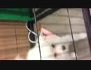 世間話