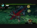 【MHP3】暗夜のナルガクルガ　６分台［大剣］