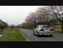 三重県いなべ市まで桜を見に行った　2013
