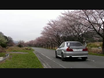 三重県いなべ市まで桜を見に行った　2013
