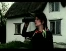 Big Country - In a Big Country
