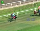 【世界の競馬場から】2013年コテホデポトランカス賞　ソラリア