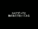 SAIの機能で女性の胸のあたりをとってみる