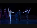 Swan Lake - Black Swan - Opera national de Paris 2005