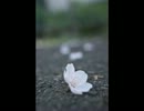 【作業用BGM】絶対感動するピアノ曲　超本気で作ってみた~Part3