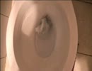 お手拭をトイレに流してみた