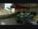 PS3　CoD:BO2(ア○ム)TDM 　給料分働きます