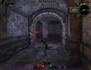 Neverwinterβ：俺VSゾンビ大群！