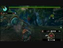 【MHP3】 月下の渓流に双雷は轟く 5'30