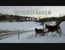Erica ＆ Patrik Ep3 1/6