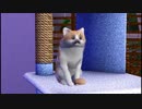 [ゆっくり劇場]　吾輩は猫ひげ先生である　１　[sims3]