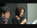 排外・人種侮蔑デモに抗議する国会集会　2013年5月7日　3/4