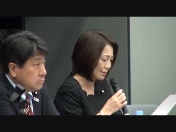 排外・人種侮蔑デモに抗議する国会集会　2013年5月7日　3/4