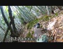 ドイツ軍迷彩で遊ぶサバゲー　2013/04/21  その２
