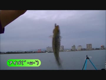 休日は魚釣りに出かけよう Part10