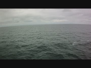 佐渡汽船でイルカショー