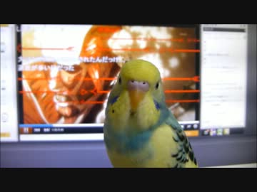 【地に堕ちた鳥が】紅蓮の弓矢【歌ってみた？】