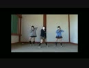 Mr.wonderboy 踊ってみた　【ぺここ×ずわいがに×木々】