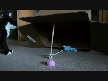 古典的な罠を見たねこの反応