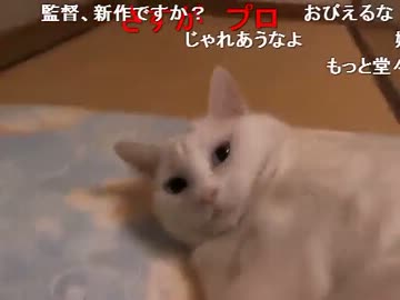 暗黒放送Ｑ　長野にやってきた放送