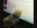 試作の動画