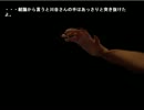 【暑いから】発狂チキンの焼却part9【実況】