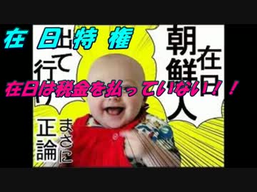 【在日特権】在日は税金を払っていない！