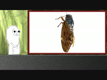 ゆっくり霊夢とやる夫が学ぶ 昆虫大百科 part2