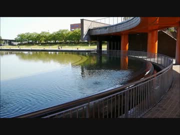 富山環水公園のスタバへ行って来ました!