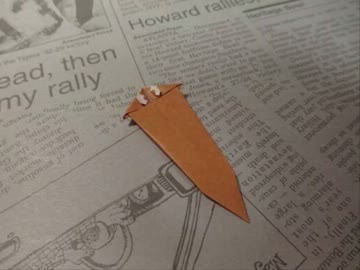 プラナリアを折ってみた