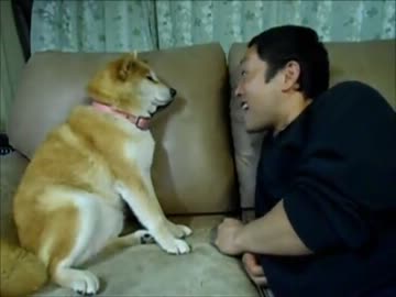 飼い主のキスを拒み続ける犬　５連パチュー