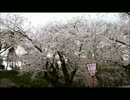 【青森県】弘前城公園外堀（23013.05.07）【車載撮影】