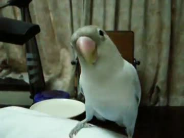 信頼関係構築中