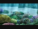 ARIAのピアノコレクションを聞きながら水中遊泳してみる その1