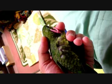 くーたん動画（リラックス）