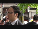 5/11 拉致被害者奪還デモ　告知街宣　＠京都 ③