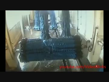 海外の洗車動画集