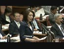 H25/5/15　参議院予算委員会・徳永エリ【政府予算案反対討論】