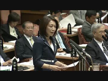 H25/5/15　参議院予算委員会・徳永エリ【政府予算案反対討論】