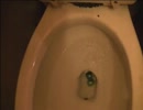食べ残りのイースターキャンディーをトイレに流してみた