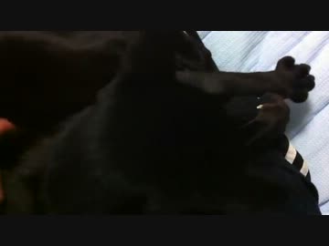 ゴゴゴゴゴゴゴゴゴゴゴゴゴゴゴゴゴゴゴゴ