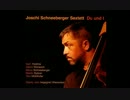 JOSCHI SCHNEEBERGER - Deine Haar