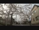 函館市　桜ヶ丘通り