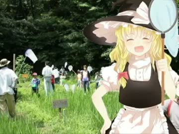 シンセこうえん