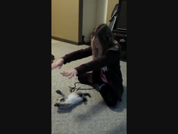 女の子のマネをして「ばんにゃーい」する子猫