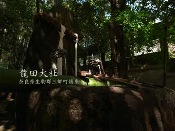 【高画質】古社の風景 ～大和 龍田大社～