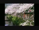 【週休二日制】十六夜涙【歌ってみた】